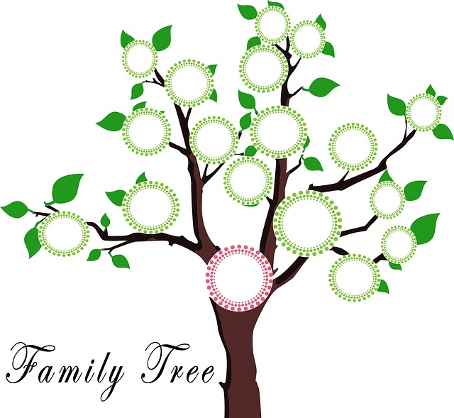rodinný strom.jpg